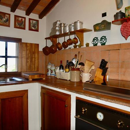 Appartamento Con Patio Privato E Giardino Tra Pisa E Firenze Palaia Exterior photo