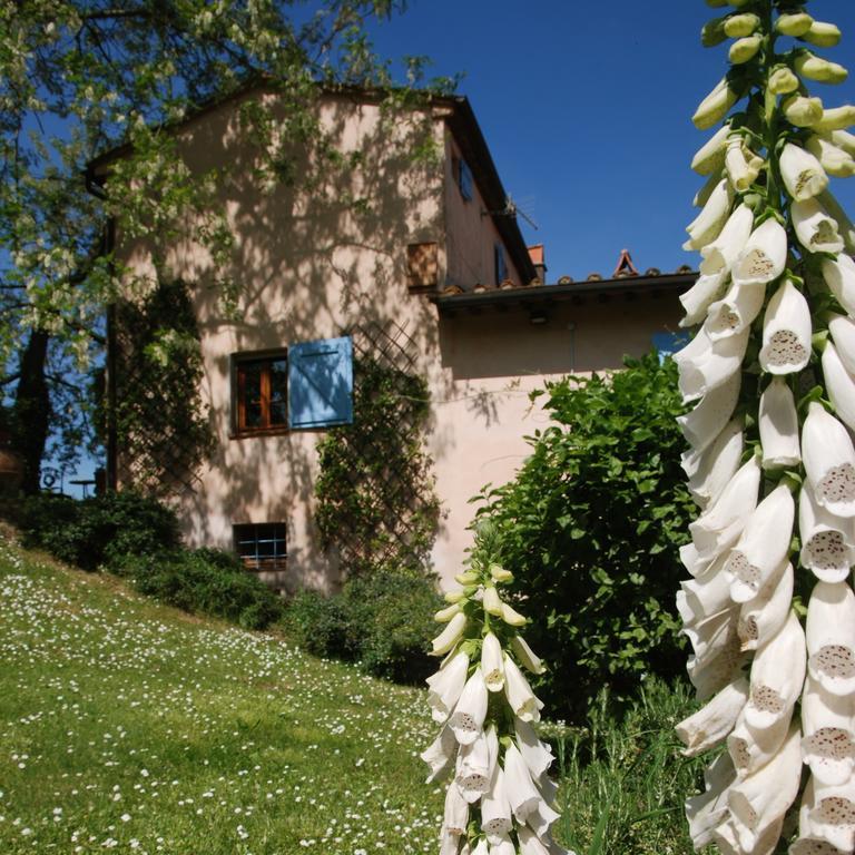 Podere Le Murella Apartment Palaia Exterior photo