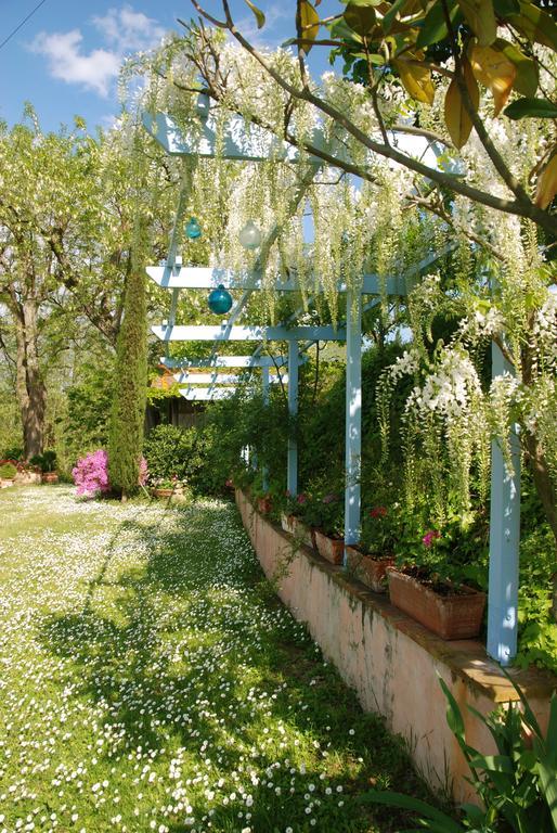 Appartamento Con Patio Privato E Giardino Tra Pisa E Firenze Palaia Exterior photo