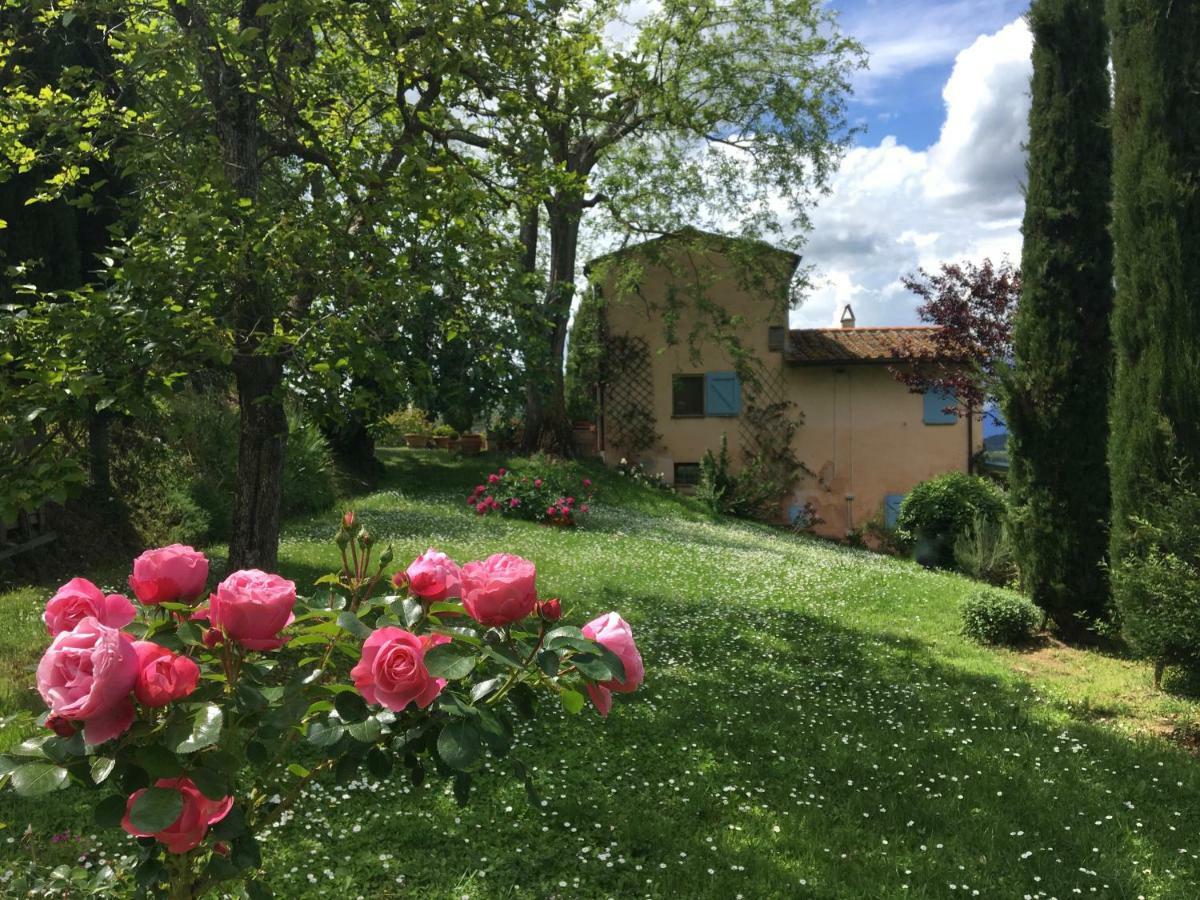 Podere Le Murella Apartment Palaia Exterior photo